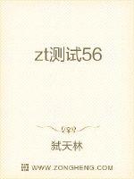  zt测试56